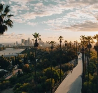 Palm trees lining a road toward the downtown Los Angeles skyline at sunset