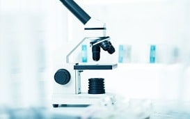 melanoma biopsy